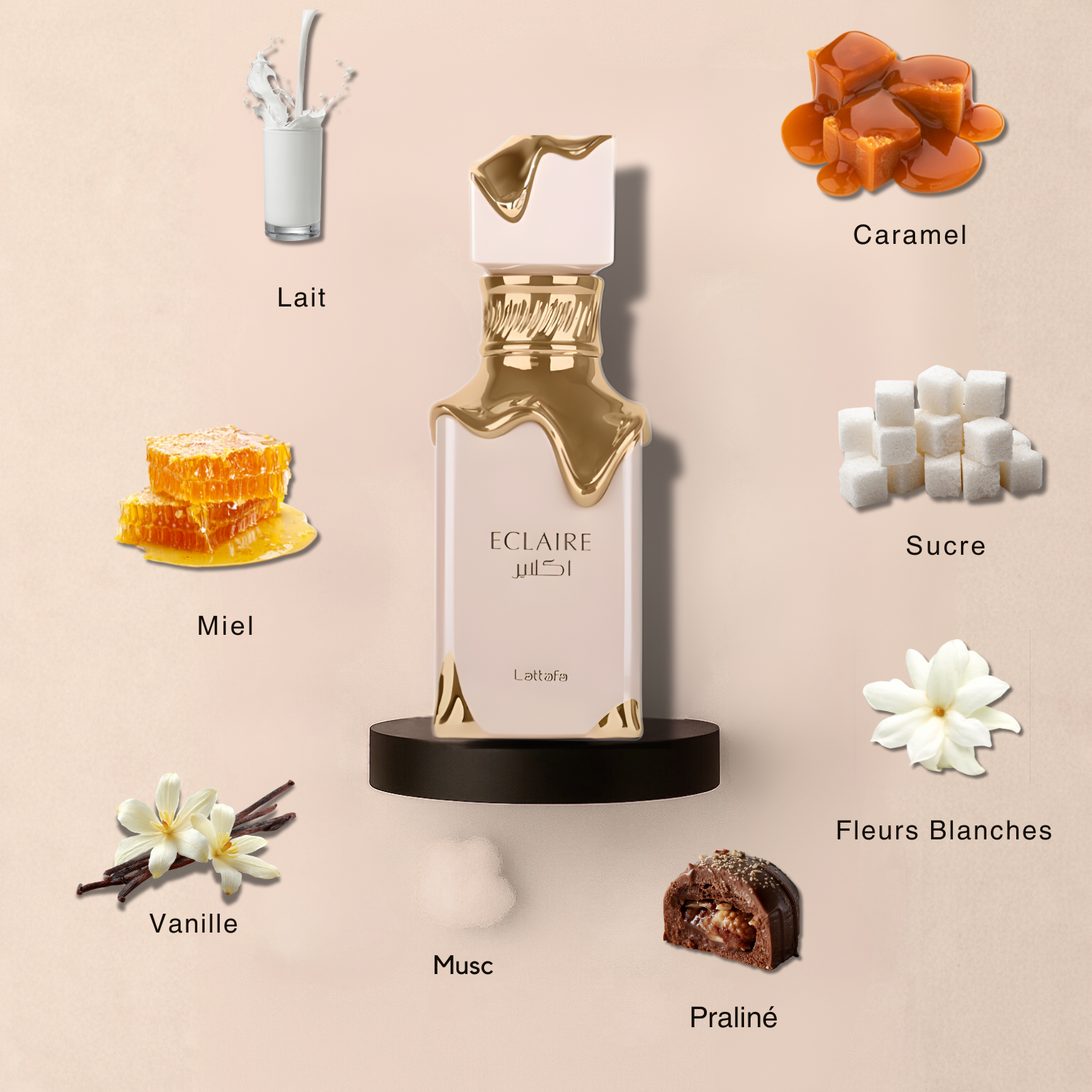 Notes olfactives du parfum Ăclaire Lattafa avec accords floraux dĂ©licats, douceur sucrĂ©e et fond musquĂ© lumineux