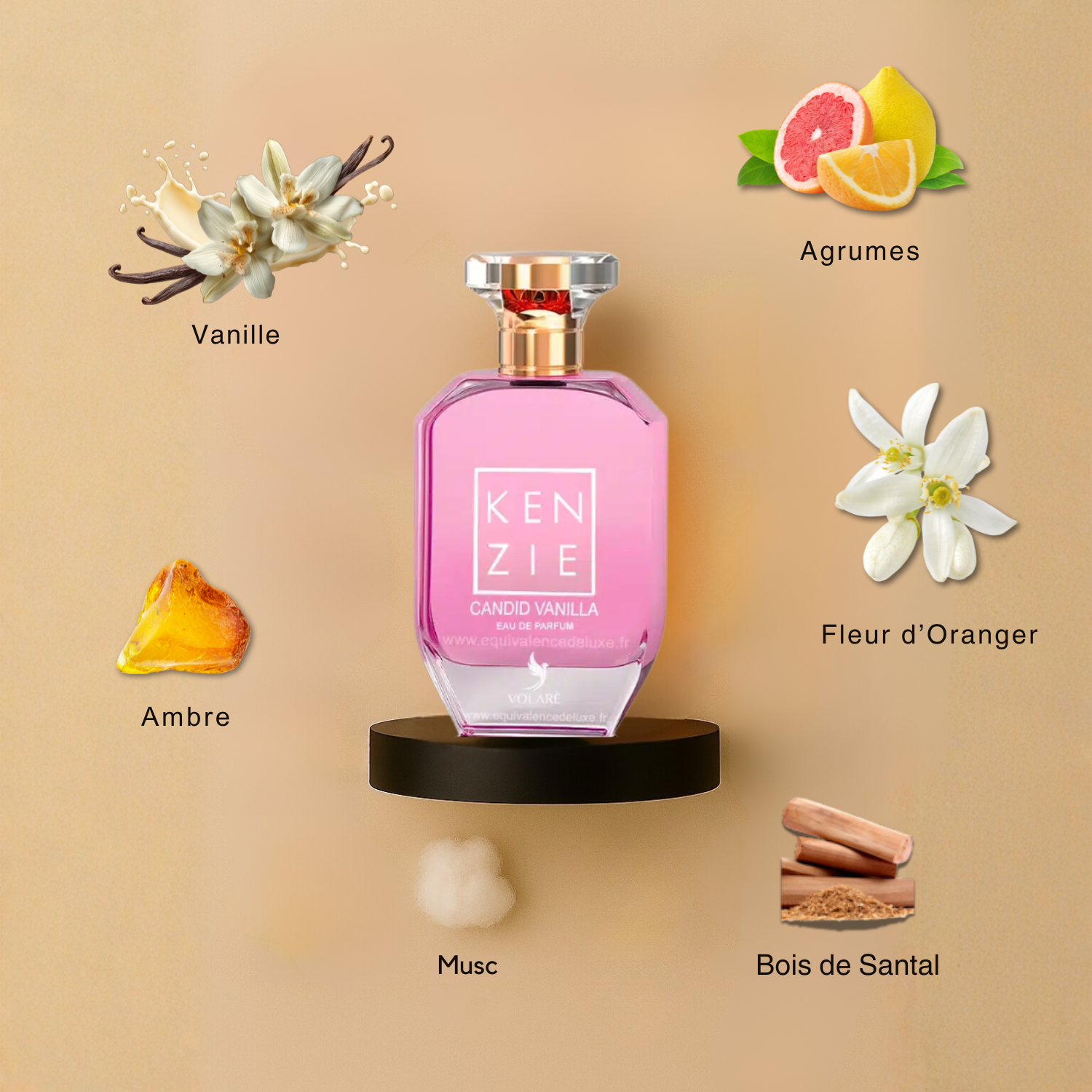 Notes olfactives du parfum Kenzie Candid Vanilla Volare avec accords vanille gourmande, douceur sucrée et fond crémeux