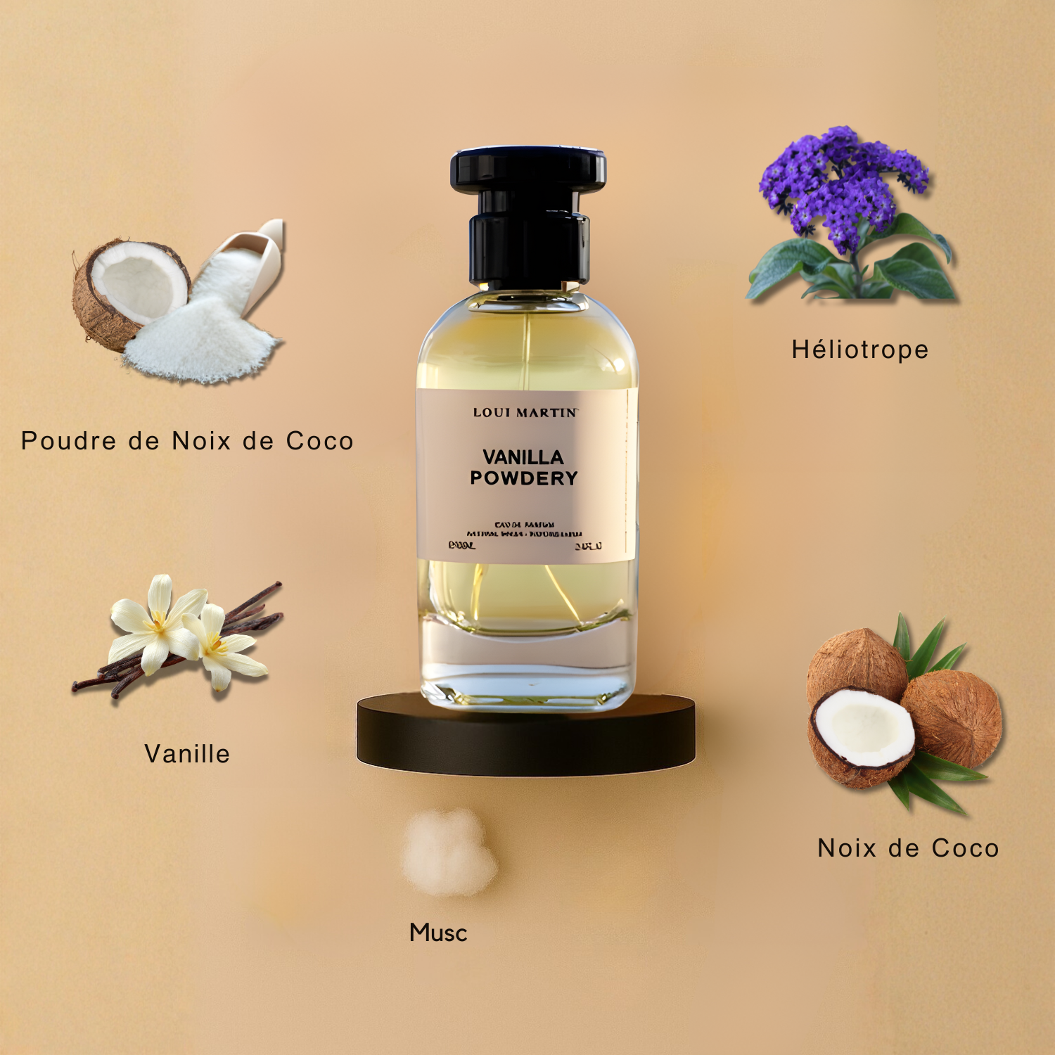 Notes olfactives du parfum Vanilla Powdery Loui Martin avec accords vanille douce, notes poudrées et fond crémeux