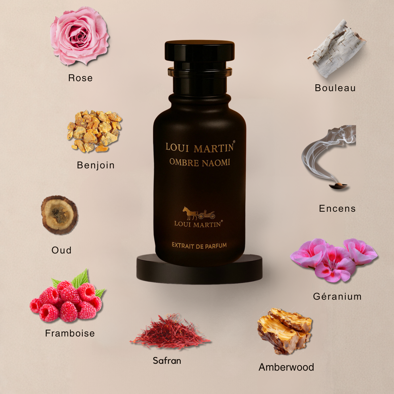 Notes olfactives du parfum Ombre Naomi Loui Martin avec accords orientaux profonds, notes chaudes et fond sensuel