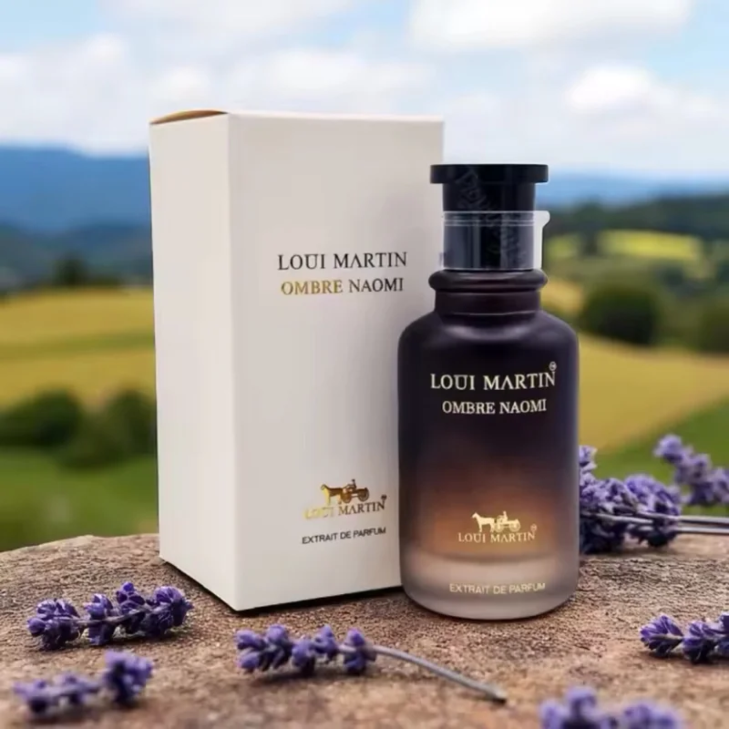 Ombre Naomi - Loui Martin