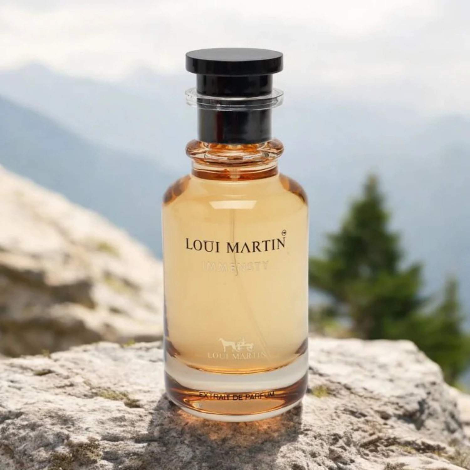 Immensity - Loui Martin